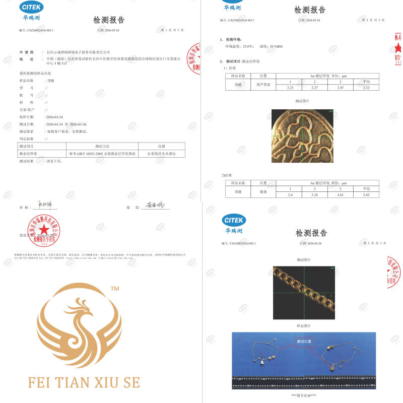 FEI TIAN XIU SE 24K Gold Plated Necklace | Silver Pendant Women | Luxury Birthday Gift